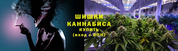 гидропоника Бородино