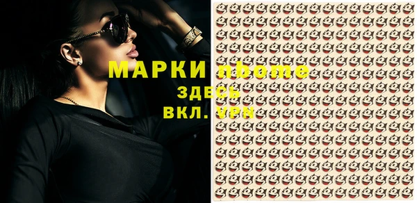 гидропоника Бородино