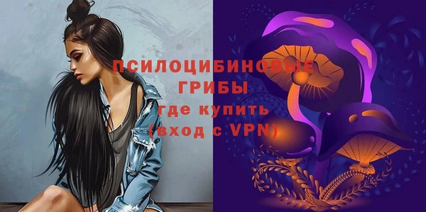 гидропоника Бородино