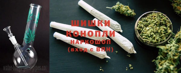 гидропоника Бородино